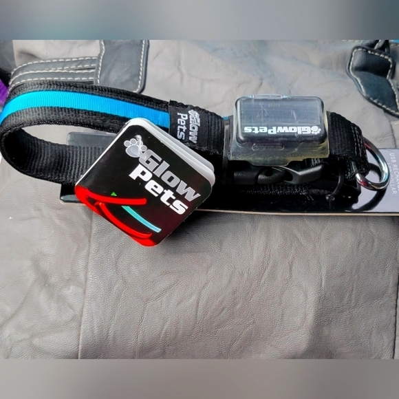 Glow pets  USB rechargeable led light dog collor - Picture 1 of 7